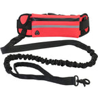 HANDS-FREE DOG LEASH