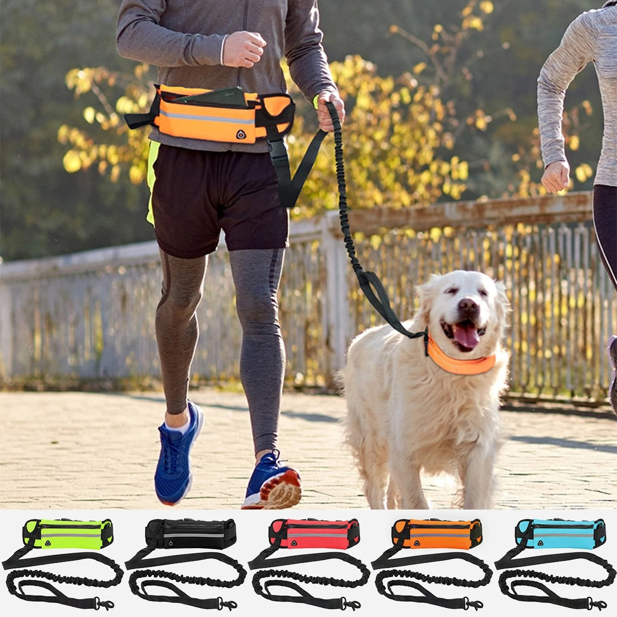 HANDS-FREE DOG LEASH