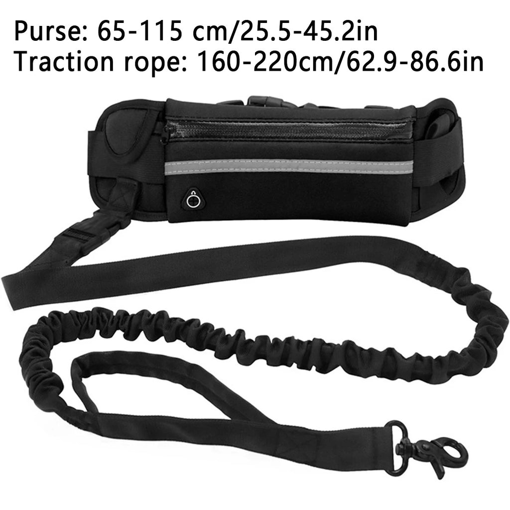 HANDS-FREE DOG LEASH