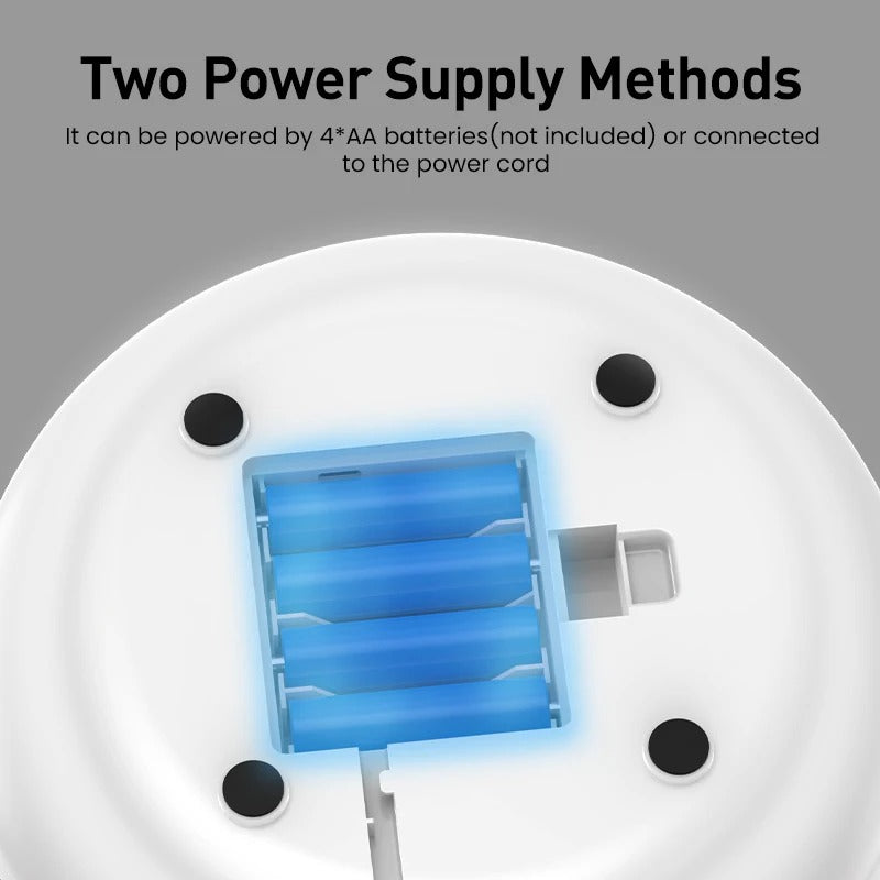 2 IN 1 SMART CAT TOY