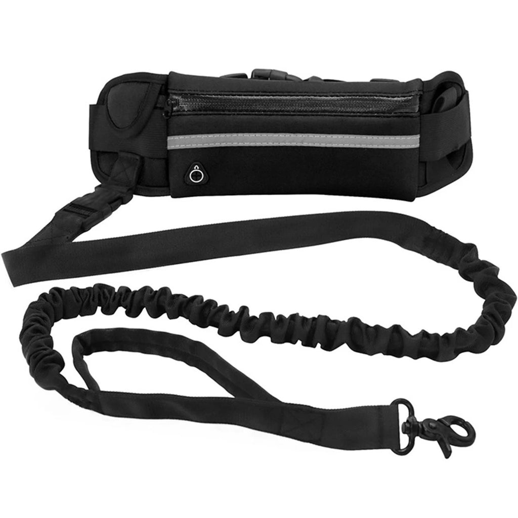 HANDS-FREE DOG LEASH