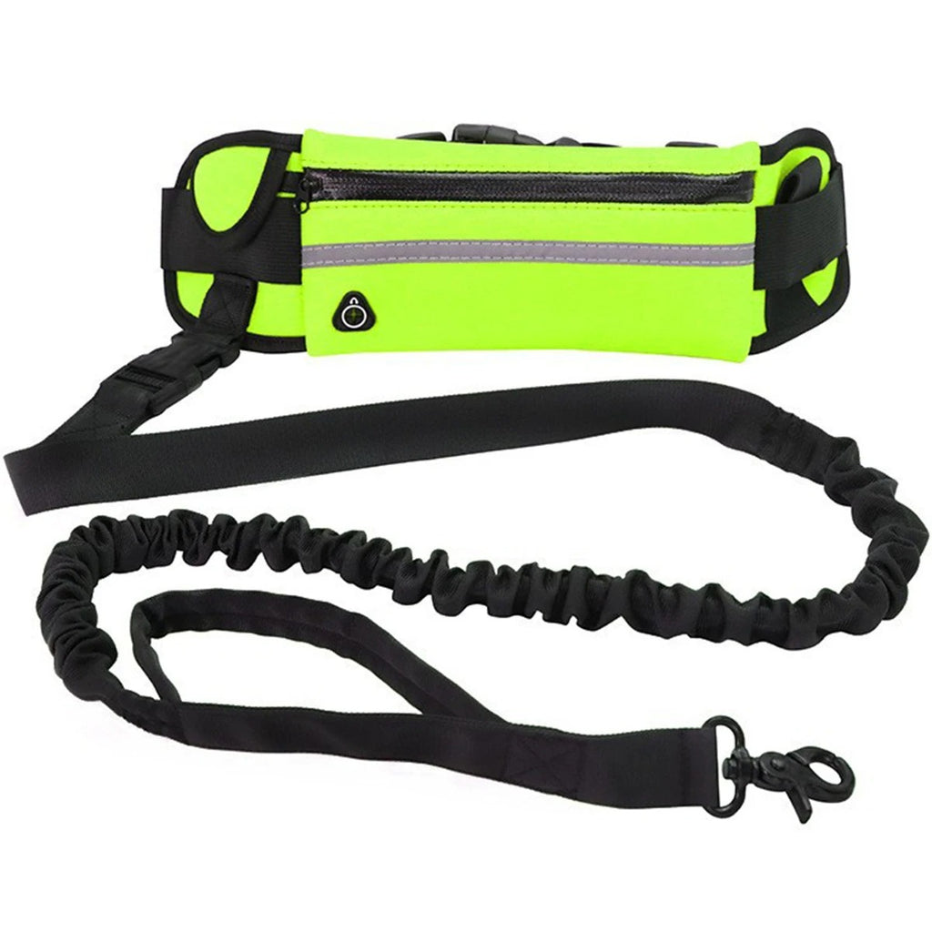 HANDS-FREE DOG LEASH
