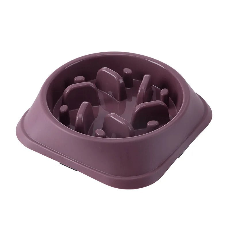 SLOW FEEDER PET BOWL